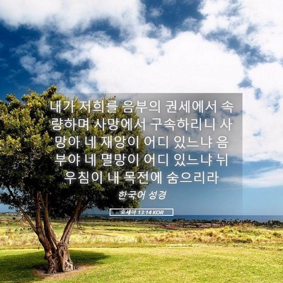 Picture 05 - 호세아 13:14 KOR - 내가 저희를 음부의 권세에서 - Bible Verse Picture