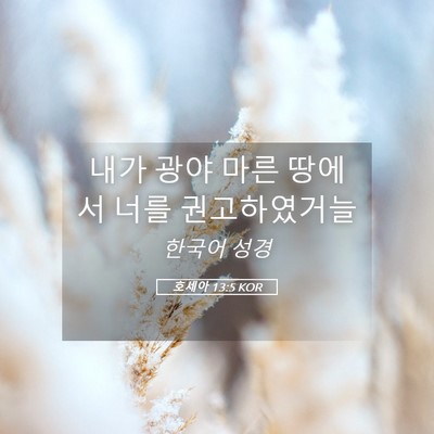 Picture 05 - 호세아 13:5 KOR - 내가 광야 마른 땅에서 너를 - Bible Verse Picture