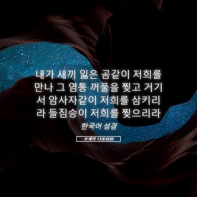 Picture 05 - 호세아 13:8 KOR - 내가 새끼 잃은 곰같이 저희를 만나 - Bible Verse Picture