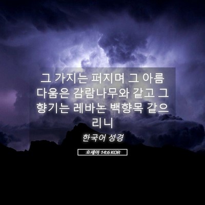 Picture 05 - 호세아 14:6 KOR - 그 가지는 퍼지며 그 아름다움은 - Bible Verse Picture