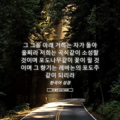 Picture 05 - 호세아 14:7 KOR - 그 그늘 아래 거하는 자가 - Bible Verse Picture