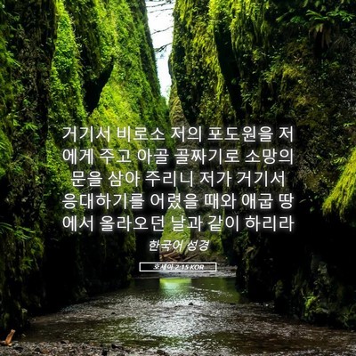 Picture 05 - 호세아 2:15 KOR - 거기서 비로소 저의 포도원을 저에게 - Bible Verse Picture