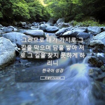 Picture 05 - 호세아 2:6 KOR - 그러므로 내가 가시로 그 길을 - Bible Verse Picture