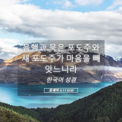 Picture 05 - 호세아 4:11 KOR - 음행과 묵은 포도주와 새 포도주가 - Bible Verse Picture