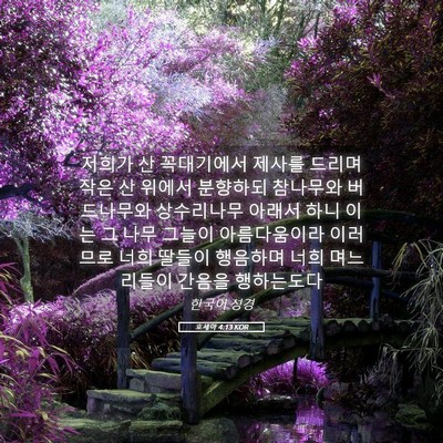 Picture 05 - 호세아 4:13 KOR - 저희가 산 꼭대기에서 제사를 드리며 - Bible Verse Picture