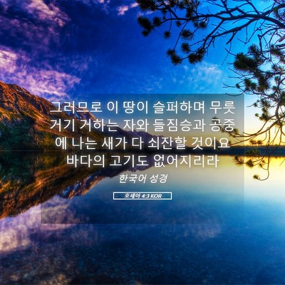 Picture 05 - 호세아 4:3 KOR - 그러므로 이 땅이 슬퍼하며 무릇 - Bible Verse Picture