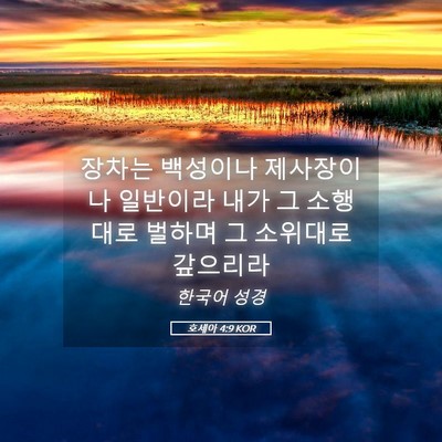 Picture 05 - 호세아 4:9 KOR - 장차는 백성이나 제사장이나 - Bible Verse Picture