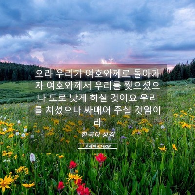 Picture 05 - 호세아 6:1 KOR - 오라 우리가 여호와께로 돌아가자 - Bible Verse Picture