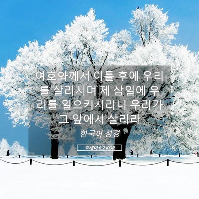 Picture 05 - 호세아 6:2 KOR - 여호와께서 이틀 후에 우리를 - Bible Verse Picture