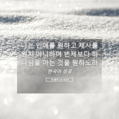Picture 05 - 호세아 6:6 KOR - 나는 인애를 원하고 제사를 원치 - Bible Verse Picture