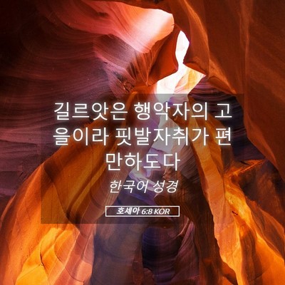 Picture 05 - 호세아 6:8 KOR - 길르앗은 행악자의 고을이라 - Bible Verse Picture