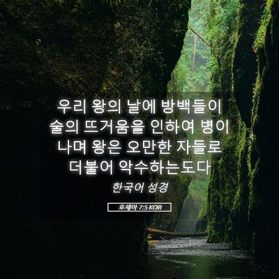 Picture 05 - 호세아 7:5 KOR - 우리 왕의 날에 방백들이 술의 - Bible Verse Picture