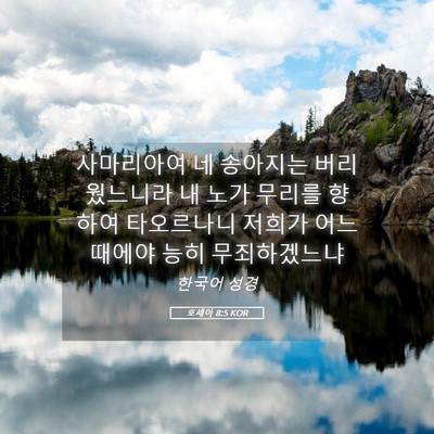 Picture 05 - 호세아 8:5 KOR - 사마리아여 네 송아지는 - Bible Verse Picture