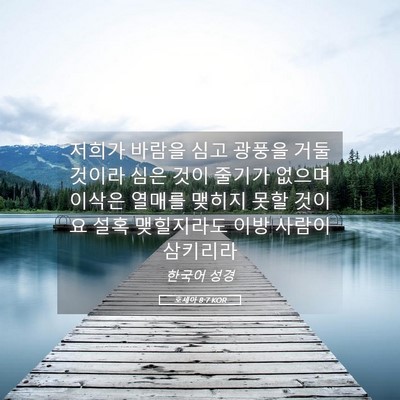 Picture 05 - 호세아 8:7 KOR - 저희가 바람을 심고 광풍을 거둘 - Bible Verse Picture