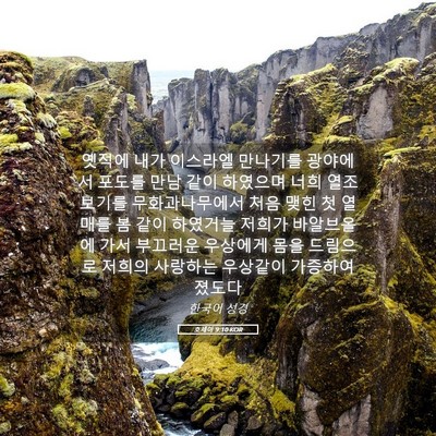 Picture 05 - 호세아 9:10 KOR - 옛적에 내가 이스라엘 만나기를 - Bible Verse Picture
