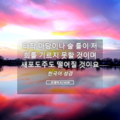 Picture 05 - 호세아 9:2 KOR - 타작 마당이나 술 틀이 저희를 - Bible Verse Picture