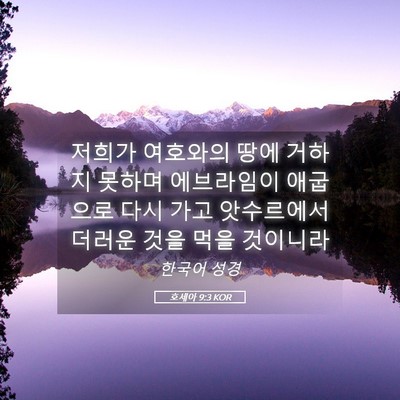 Picture 05 - 호세아 9:3 KOR - 저희가 여호와의 땅에 거하지 못하며 - Bible Verse Picture