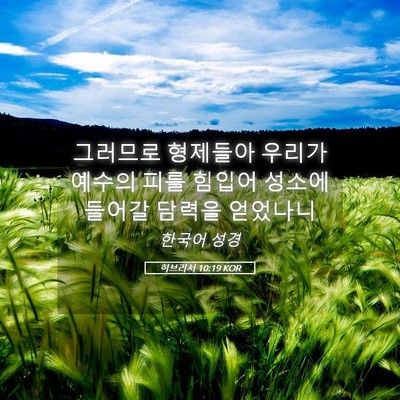 Picture 05 - 히브리서 10:19 KOR - 그러므로 형제들아 우리가 예수의 - Bible Verse Picture