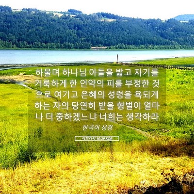 Picture 05 - 히브리서 10:29 KOR - 하물며 하나님 아들을 밟고 자기를 - Bible Verse Picture