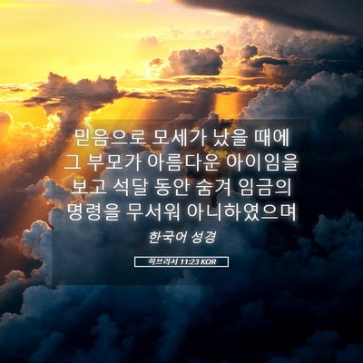 Picture 05 - 히브리서 11:23 KOR - 믿음으로 모세가 났을 때에 그 - Bible Verse Picture