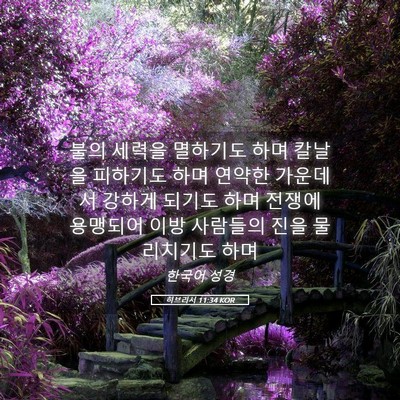 Picture 05 - 히브리서 11:34 KOR - 불의 세력을 멸하기도 하며 칼날을 - Bible Verse Picture