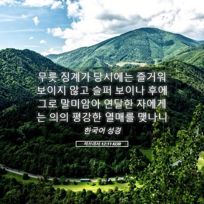 Picture 05 - 히브리서 12:11 KOR - 무릇 징계가 당시에는 즐거워 보이지 - Bible Verse Picture