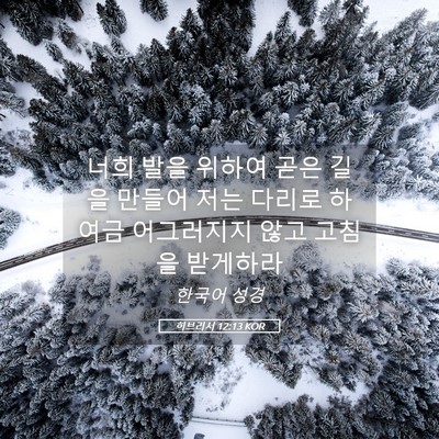 Picture 05 - 히브리서 12:13 KOR - 너희 발을 위하여 곧은 길을 만들어 - Bible Verse Picture