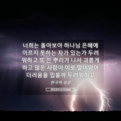 Picture 05 - 히브리서 12:15 KOR - 너희는 돌아보아 하나님 은혜에 - Bible Verse Picture