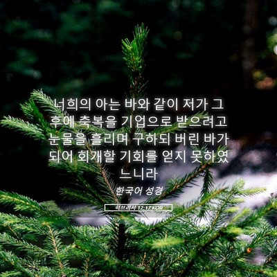 Picture 05 - 히브리서 12:17 KOR - 너희의 아는 바와 같이 저가 그후에 - Bible Verse Picture