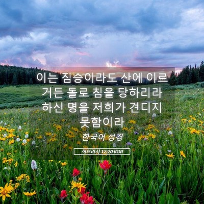 Picture 05 - 히브리서 12:20 KOR - 이는 짐승이라도 산에 이르거든 돌로 - Bible Verse Picture