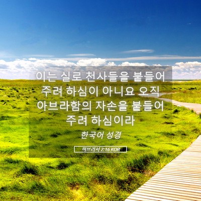 Picture 05 - 히브리서 2:16 KOR - 이는 실로 천사들을 붙들어 주려 - Bible Verse Picture
