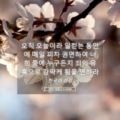 Picture 05 - 히브리서 3:13 KOR - 오직 오늘이라 일컫는 동안에 매일 - Bible Verse Picture