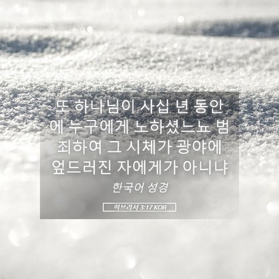 Picture 05 - 히브리서 3:17 KOR - 또 하나님이 사십 년 동안에 - Bible Verse Picture