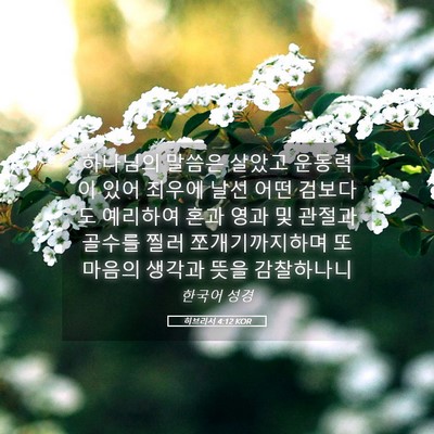 Picture 05 - 히브리서 4:12 KOR - 하나님의 말씀은 살았고 운동력이 - Bible Verse Picture
