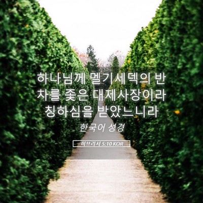 Picture 05 - 히브리서 5:10 KOR - 하나님께 멜기세덱의 반차를 좇은 - Bible Verse Picture