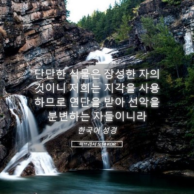 Picture 05 - 히브리서 5:14 KOR - 단단한 식물은 장성한 자의 것이니 - Bible Verse Picture
