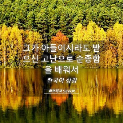Picture 05 - 히브리서 5:8 KOR - 그가 아들이시라도 받으신 고난으로 - Bible Verse Picture