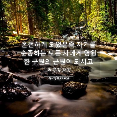 Picture 05 - 히브리서 5:9 KOR - 온전하게 되었은즉 자기를 순종하는 - Bible Verse Picture