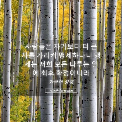 Picture 05 - 히브리서 6:16 KOR - 사람들은 자기보다 더 큰 자를 - Bible Verse Picture