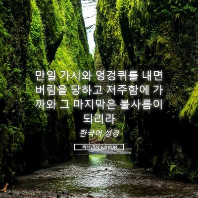 Picture 05 - 히브리서 6:8 KOR - 만일 가시와 엉겅퀴를 내면 버림을 - Bible Verse Picture