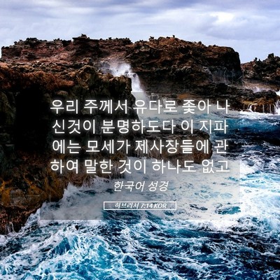 Picture 05 - 히브리서 7:14 KOR - 우리 주께서 유다로 좇아 나신것이 - Bible Verse Picture