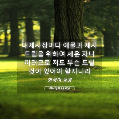 Picture 05 - 히브리서 8:3 KOR - 대제사장마다 예물과 제사 드림을 - Bible Verse Picture