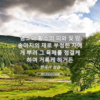 Picture 05 - 히브리서 9:13 KOR - 염소와 황소의 피와 및 암송아지의 - Bible Verse Picture
