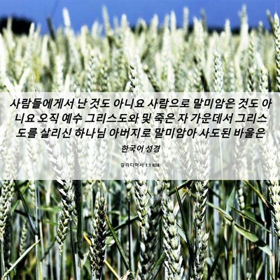 Picture 06 - 갈라디아서 1:1 KOR - 사람들에게서 난 것도 아니요 - Bible Verse Picture
