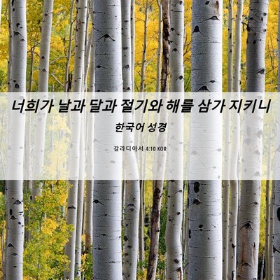 Picture 06 - 갈라디아서 4:10 KOR - 너희가 날과 달과 절기와 해를 삼가 - Bible Verse Picture