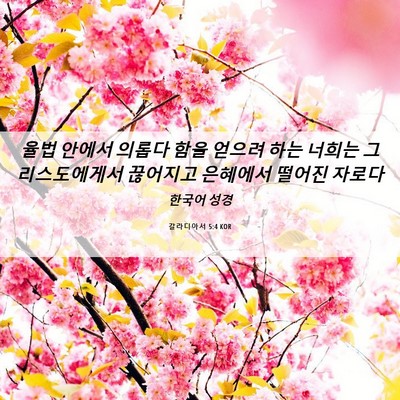 Picture 06 - 갈라디아서 5:4 KOR - 율법 안에서 의롭다 함을 얻으려 - Bible Verse Picture