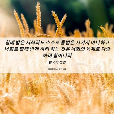 Picture 06 - 갈라디아서 6:13 KOR - 할례 받은 저희라도 스스로 율법은 - Bible Verse Picture