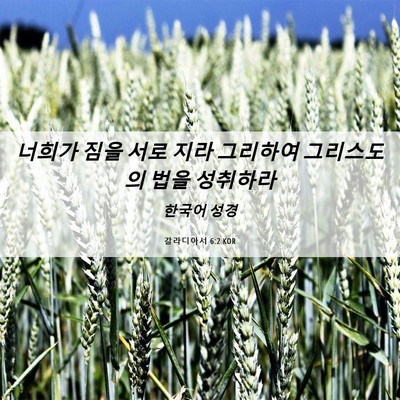 Picture 06 - 갈라디아서 6:2 KOR - 너희가 짐을 서로 지라 그리하여 - Bible Verse Picture