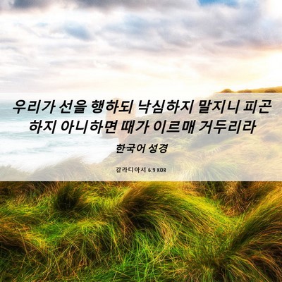 Picture 06 - 갈라디아서 6:9 KOR - 우리가 선을 행하되 낙심하지 말지니 - Bible Verse Picture