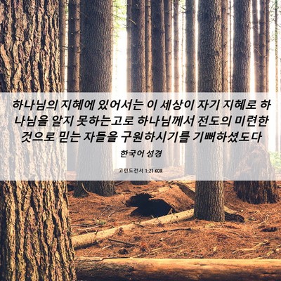Picture 06 - 고린도전서 1:21 KOR - 하나님의 지혜에 있어서는 이 세상이 - Bible Verse Picture